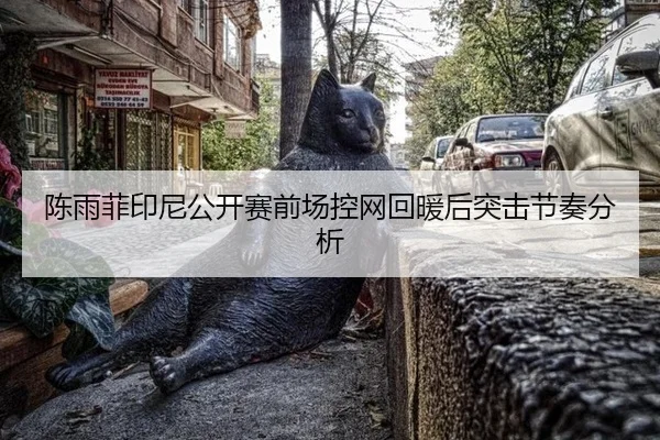 陈雨菲印尼公开赛前场控网回暖后突击节奏分析